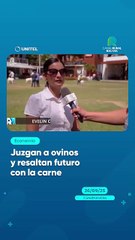 Juzgan a ovinos y resaltan futuro con la carne