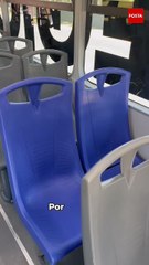 Regio Ruta: El nuevo transporte público que revoluciona Monterrey