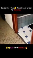 “Comedy That Hits Hard 😂 | Viral Short Clip | Relatable Moments”