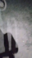 Fazenda haras do Andre