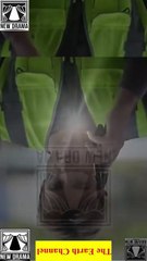 🔶🍏Wrong Mr Right ✅ dailymotion  | 👍 [Good] 🌍 x9r9f7w