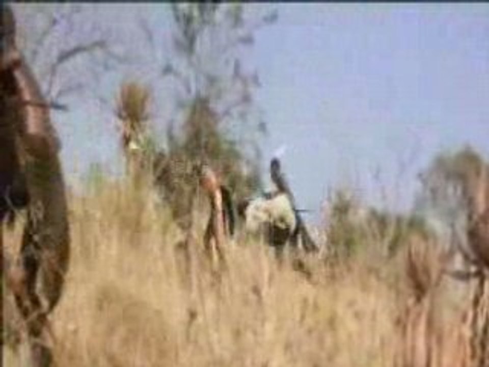 Cut : La bataille D'Isandwana