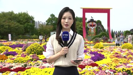 [날씨] 주말, 늦더위 속 가을꽃축제 한창...남해안·제주 비 / YTN