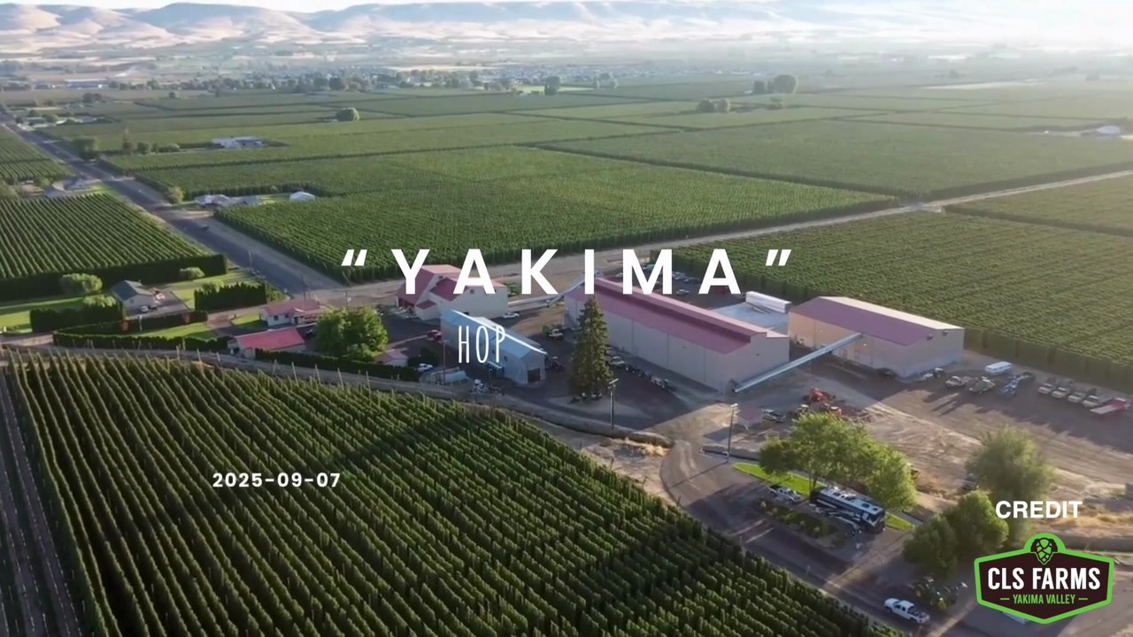 Yakima Hop Harvest Tour: From Farms to Craft Beer in Washington