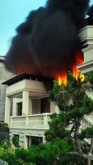 CEO Forbids Touching Gem Girl Cracks Walnuts Love Begins - Full Movies English Sub