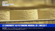 Le camembert normand en lice pour être inscrit au patrimoine mondial de l'Unesco