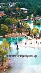 Super Single Mom Saved A Stranger On The Street! Unexpectedly, He Was A Hidden CEO And Fell In Love! - English Sub