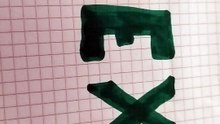 Rex scritta disegno