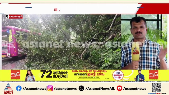 താമരശേരി ചുരം രണ്ടാം വളവില്‍ മരം വീണ് ഗതാഗതം തടസപ്പെട്ടു