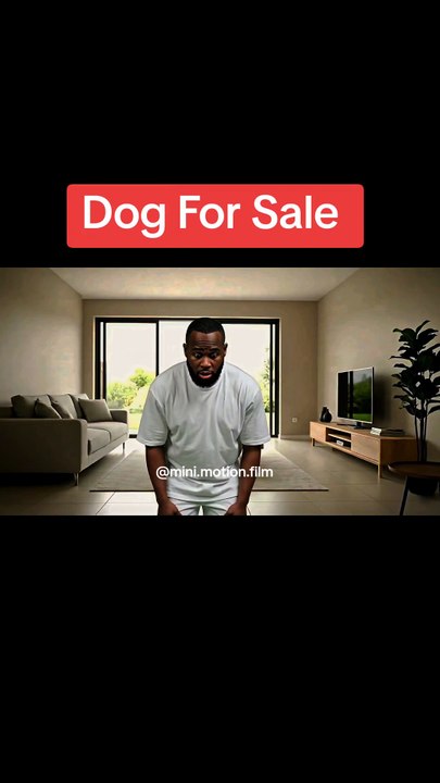 Dog For Sale