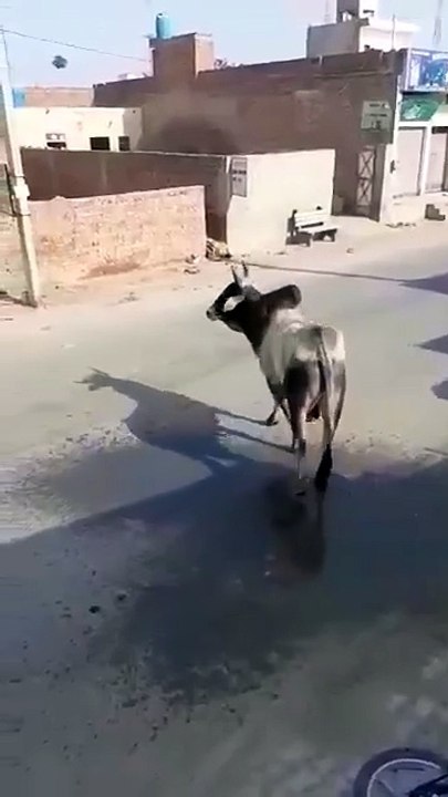 f02c74ec42daaa0c953f115625d50399