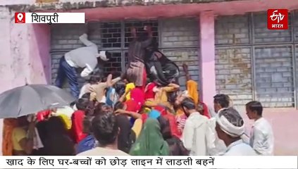 खाद के लिए दिनभर धूप में लाइनों में जद्दोजहद, टोकन पाने खिड़की पर चढ़ी लाड़ली बहनें