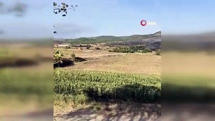 Bursa’daki orman yangını söndürüldü