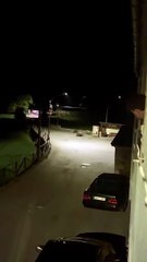 Una osa con tres oseznos se pasea por Sosas de Laciana