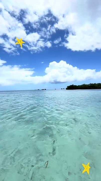 Aujourd’hui ,J'ai dansé sur le sable, l'ai nagé dans une eau turquoise, j'ai mangé sur un bateaux, souri toute la journée et vu des paysages inoubliables !Ce voyage m'a rappelé pourquoi je crée. Et pourquoi je veux continuer.À bientôt la Guadeloupe !