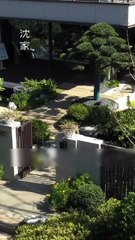 Innocent girl saved a beggar, not knowing he’s a powerful CEO who made her his beloved wife - English Sub