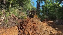 D6R XL Works at Maximum Capacity to Widen Roads in the Plantation