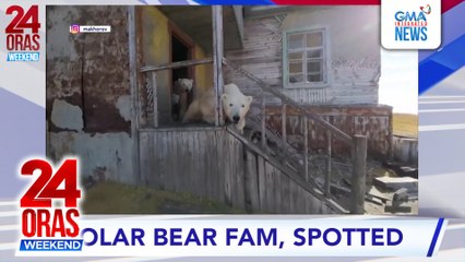 Ilang polar bear, namataan sa isang abandonadong research station | 24 Oras Weekend