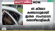 കാലടിയിൽ 45 കിലോ കഞ്ചാവുമായി ഇതര സംസ്ഥാന തൊഴിലാളികള്‍ പിടിയില്‍