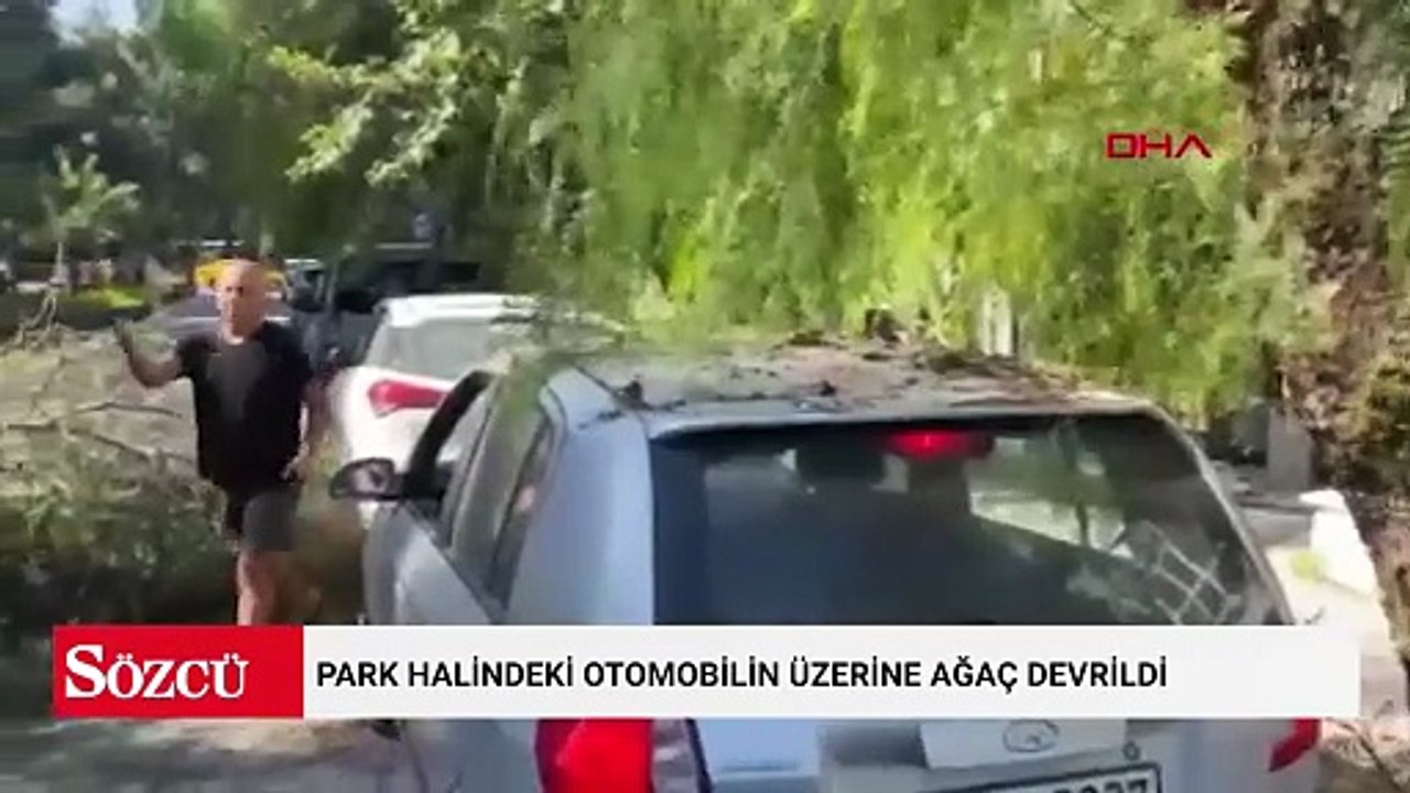 Park halindeki otomobilin üzerine ağaç devrildi