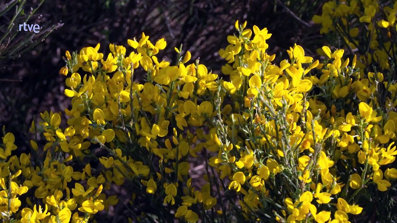 Descubre Extremadura: Valles Encantados del Norte Cacereño