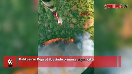 Balıkesir'de orman yangını