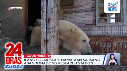 Ilang polar bear, nagkuta sa abandonadong Russian research station | 24 Oras Weekend