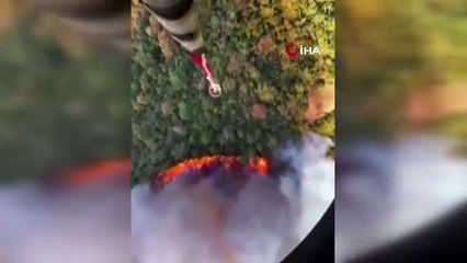 Kepsut’ta Araç Yangını Ormana Sıçradı!