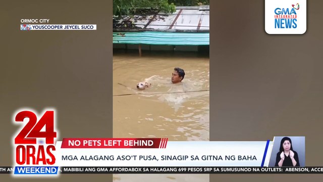 Pets rescued amid Ormoc floods | 24 Oras Weekend