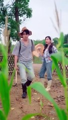 Completed: A rural orphan accidentally found a man with amnesia and brought him home to be his son-in-law. They fell in love and got married right there. After the wedding, she realized she had found a treasure: not only was he considerate and gentle, but