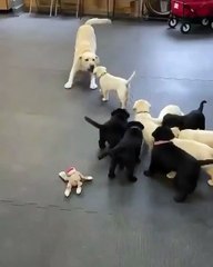 Non, c’est pas le plan, je ne veux pas être maman tout de suite.