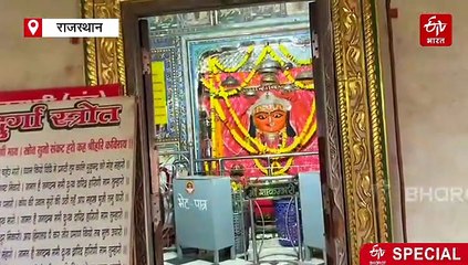 सांभर झील बनी विदेशी परिंदों का बसेरा