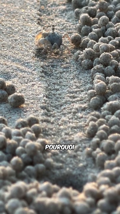 Il a inspiré Wall-e ??  😧