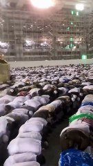 Today Makkah Rain Massallah🥰🕋🤲 #shorts #youtubeshorts #viralvideo #shoersfeed