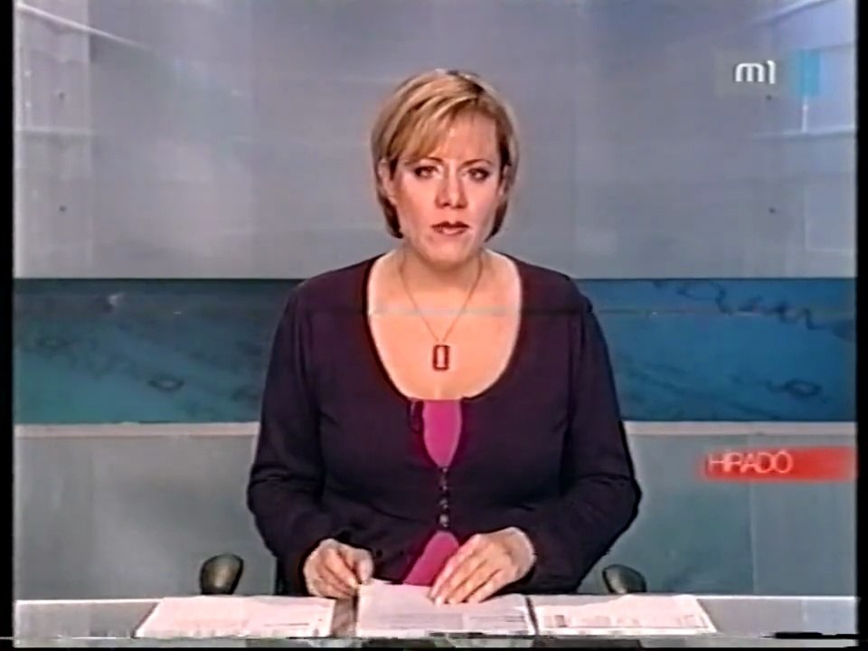 M1 - Híradó részlet - 2009?