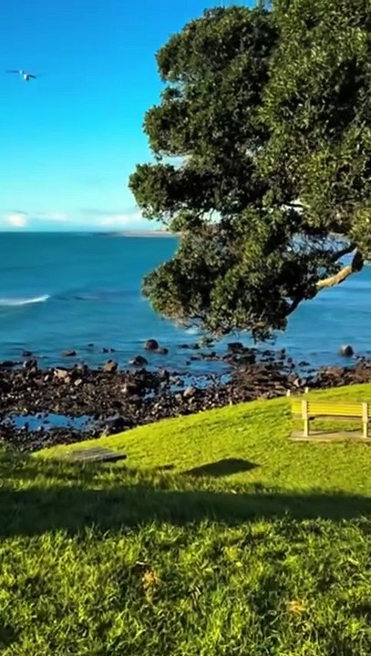 natural view