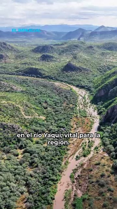Lluvias benefician a Sonora
