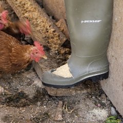 our chickens will thank you for these 🐓🙌 #diy #farmlife #tips #gadgets #fyp
