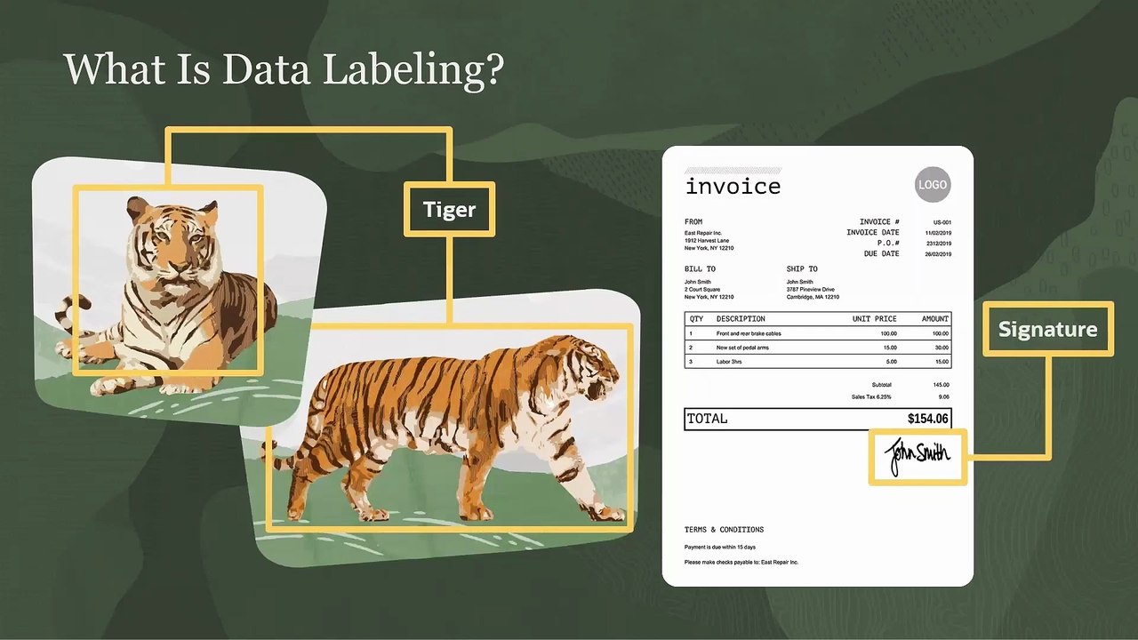 58. OCI Data Labeling - Oracle Cloud Infrastructure Data Science Professional