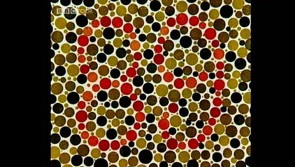 Light Fantastic_4of4_Light the Universe and Everything