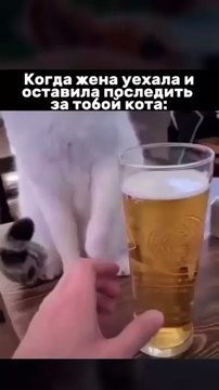 Безалкогольная пятница..