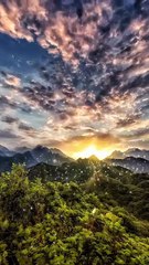 Méditation 174 Hz avec Chants d'Oiseaux