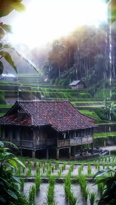 Méditation 172 Hz avec Pluie et Tonnerre : Régénération Profonde et Anti-Stress 🌧️⚡