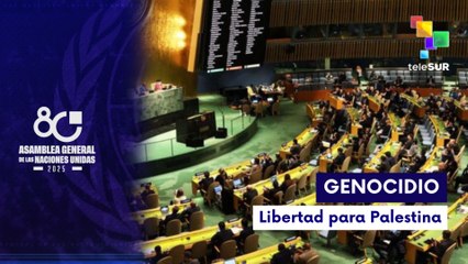 Líderes mundiales apoyan la causa palestina