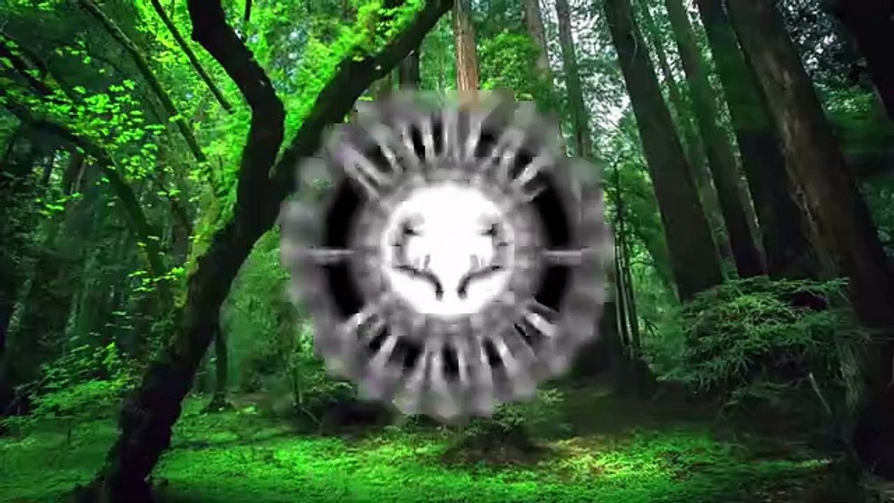 Funny Animals Videos 2025 Best Cute Pets and Crazy Animal Fails Try Not to Laugh