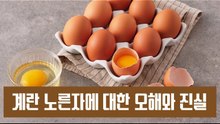 계란 노른자에 대한 오해와 진실[김대성의 아아 그렇군요]