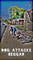 Dog attacks beggar