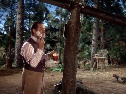 The Paleface (1948)