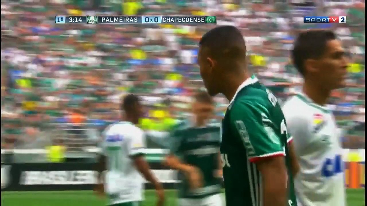Campeão Brasileiro 2016