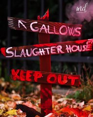 Have an unforgettable Halloween with these DIY crafts!